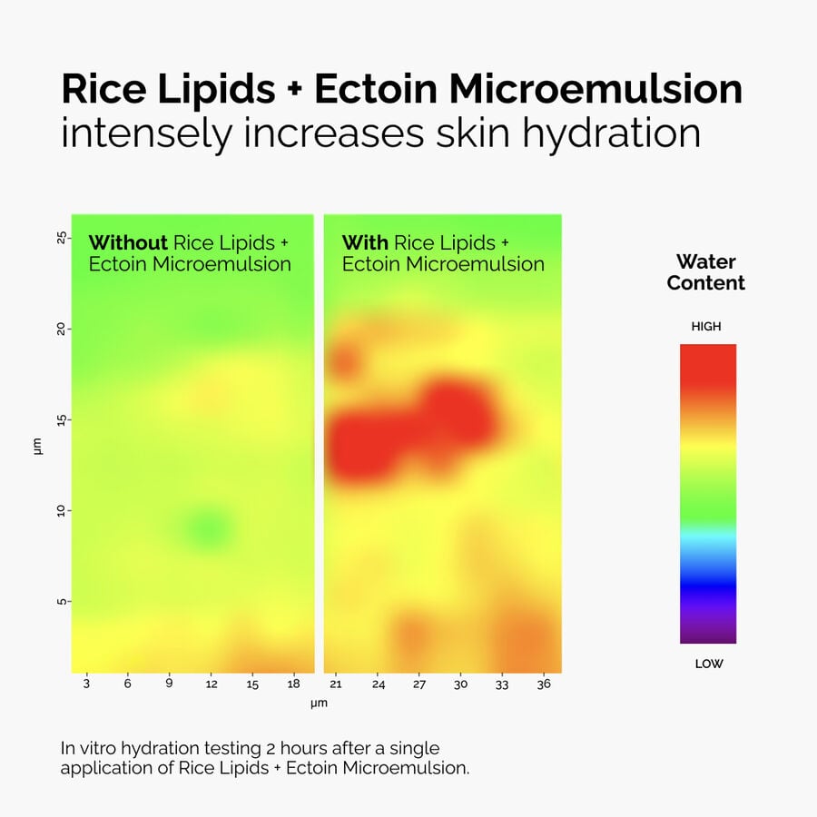 rice-lipids-ectoin-microemulsion-k2 ord-rice-lipids-ectoin-microemulsion-thermal-before-after.jpg